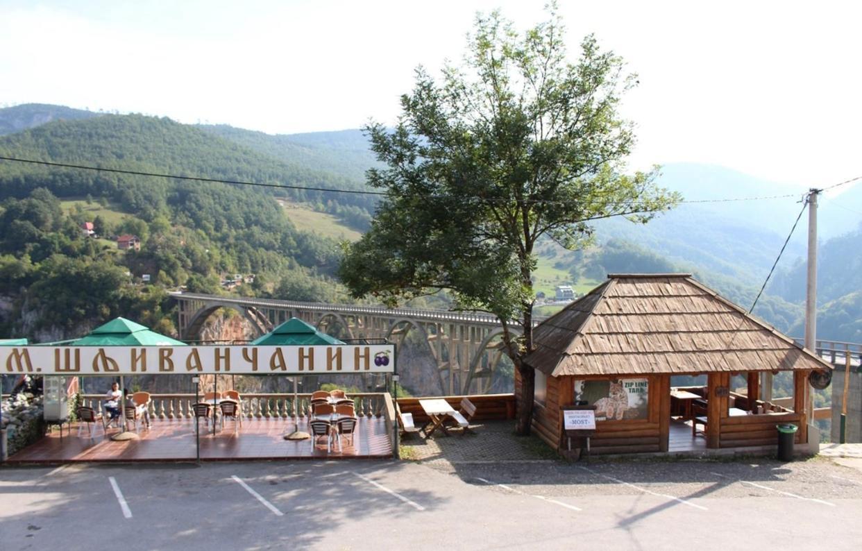 Tara Bridge Castle Hotell Žabljak Exteriör bild