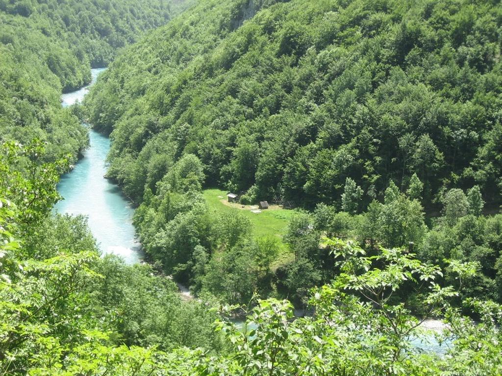 Tara Bridge Castle Hotell Žabljak Rum bild